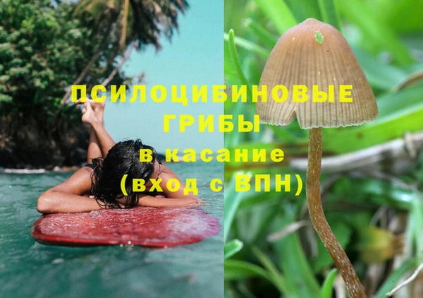 ALPHA-PVP Медногорск