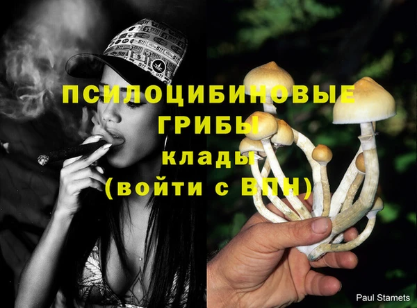 прущие крисы Мегион
